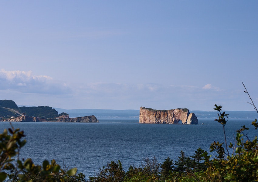 Férique